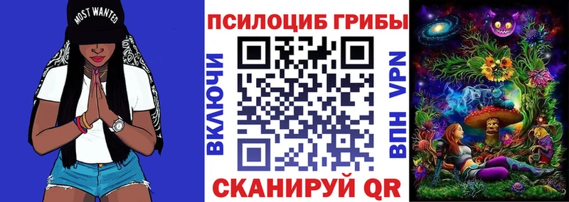 Галлюциногенные грибы Cubensis Юхнов